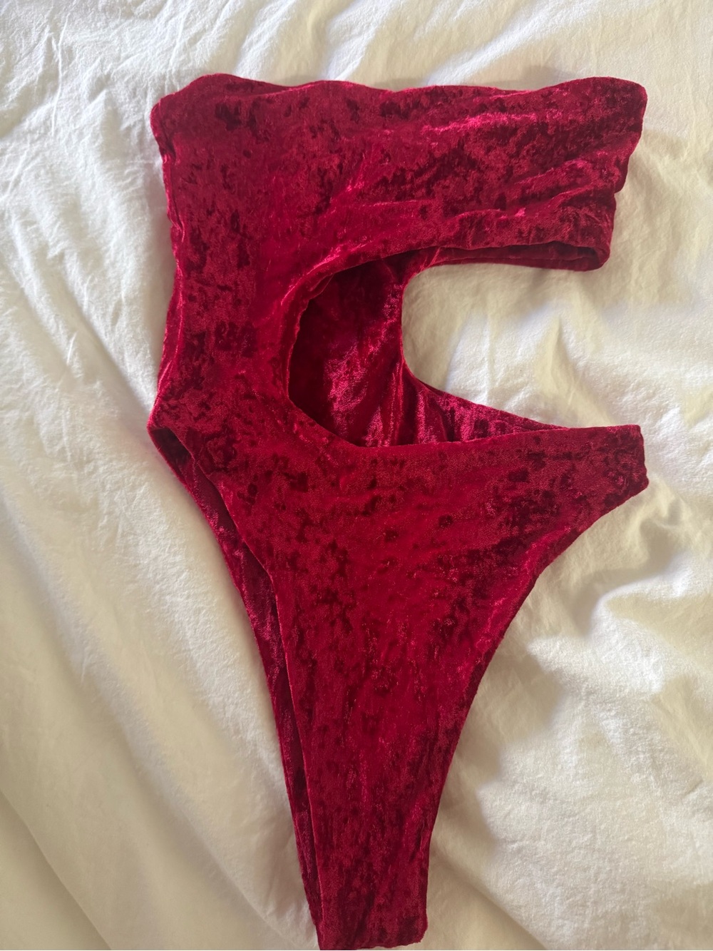 inamorata one-piece (velvet swim collection)- NWOT